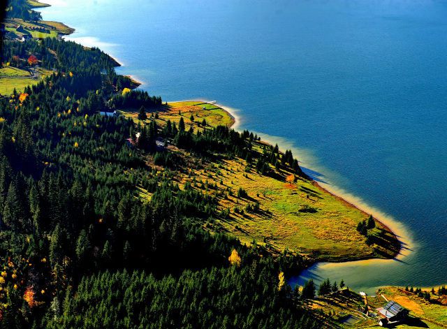 colibita-2