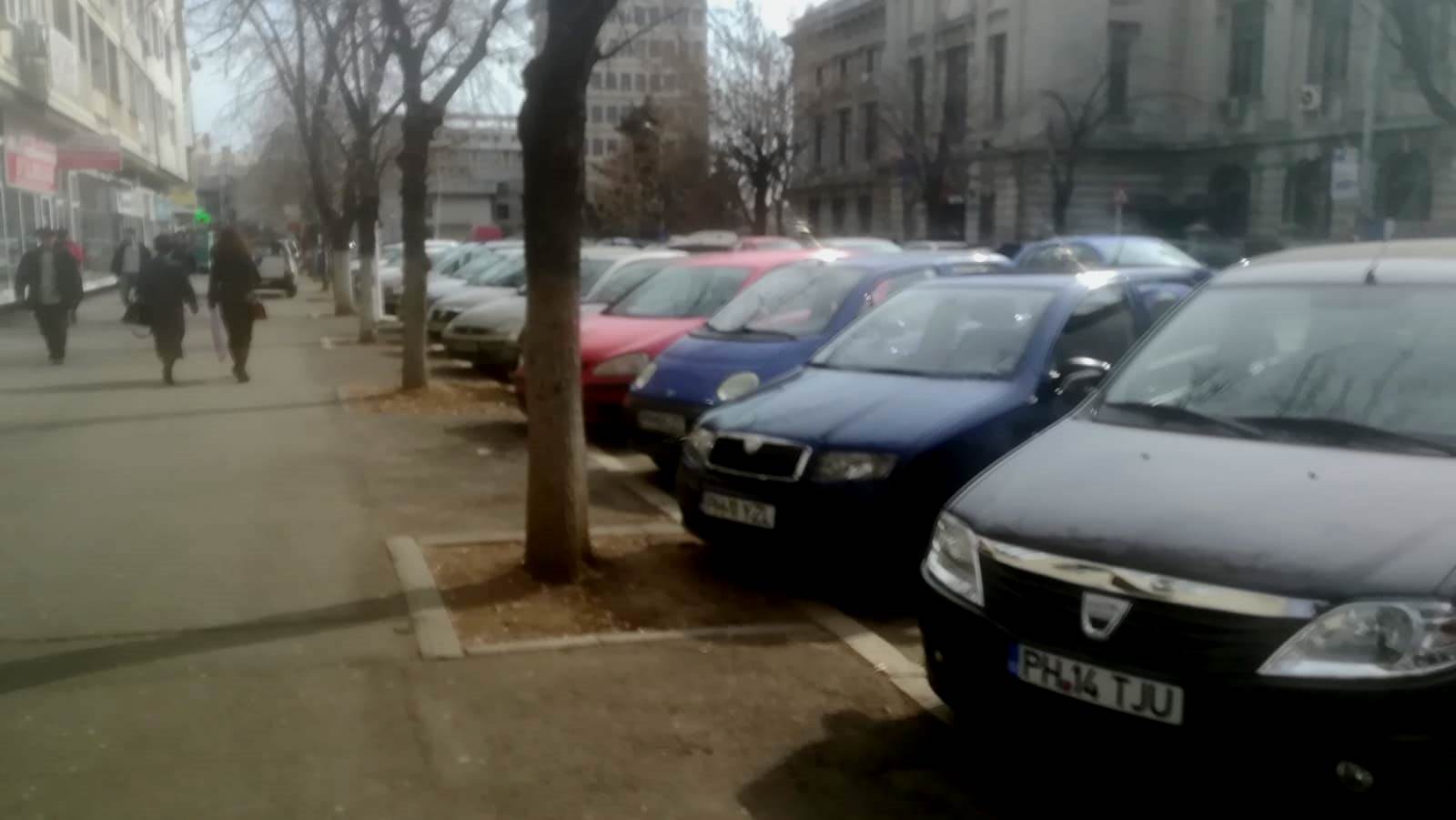 Primăria Capitalei A Ridicat In Primele Două Zile 14 Mașini