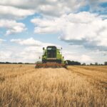 Combină agricolă într-un lan de grâu