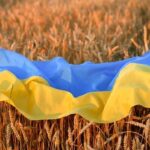 Cereale Ucraina