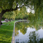 PARC IOR