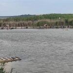 Balta Alba