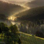 bucovina