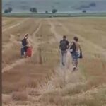 calatori tren