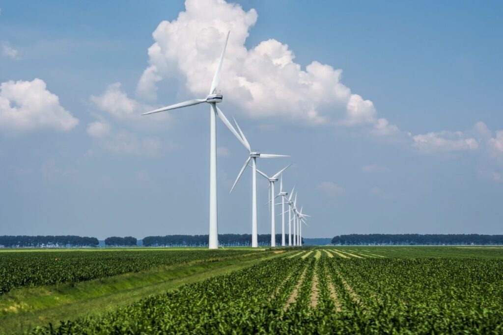eoliana