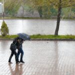 ploaie vijelie meteo