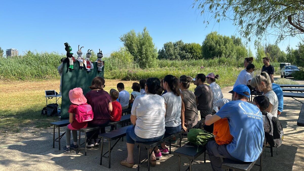 Sursă foto: Administrația Parcul Natural Văcărești
