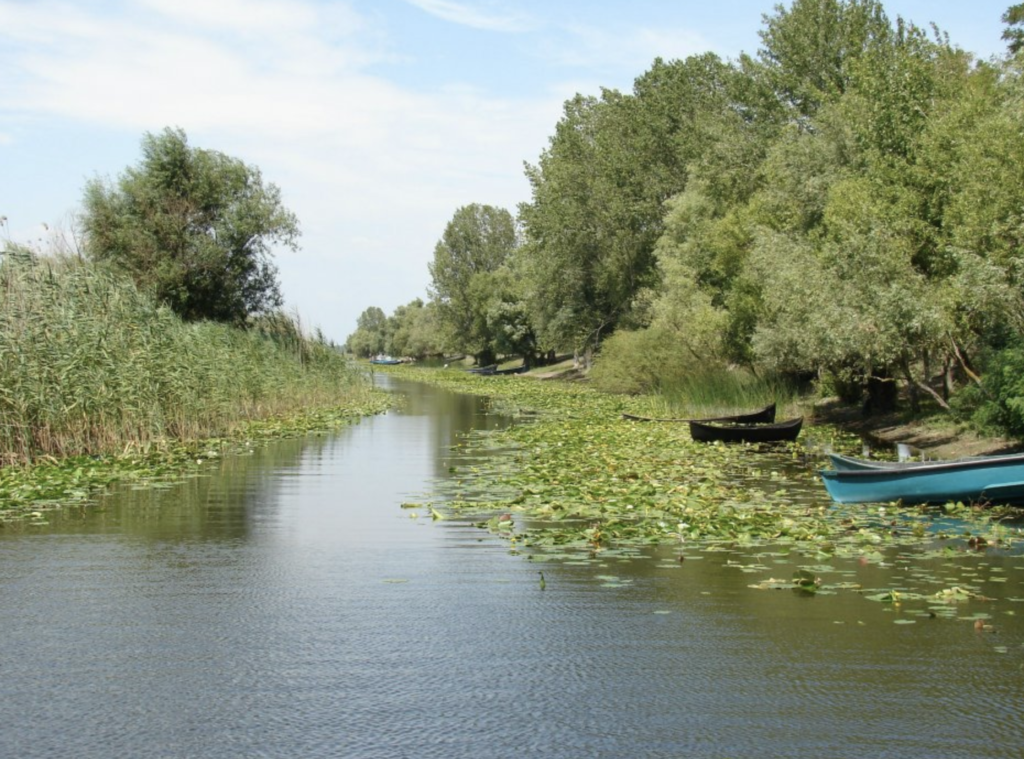 Delta Dunării