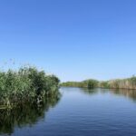 Delta Dunării