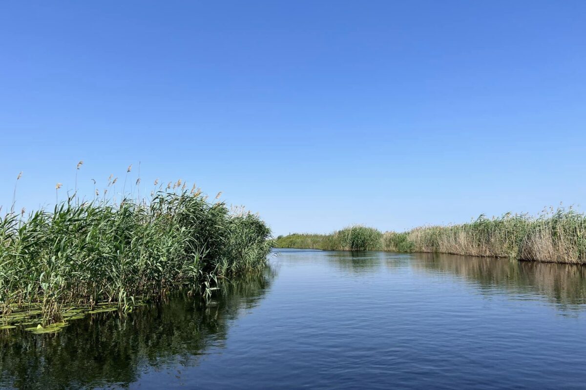 Delta Dunării