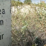 captură video