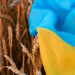 cereale-ucraina-steag