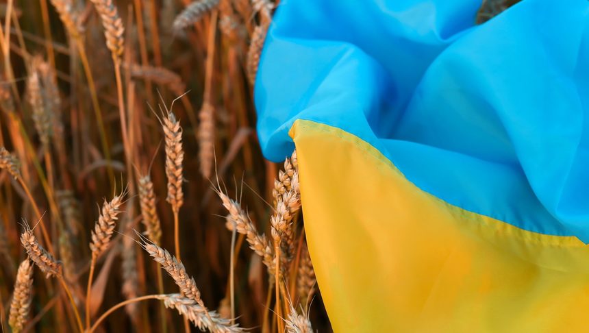 cereale-ucraina-steag