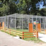 gradina zoologica sibiu