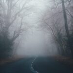 Sursa foto: unsplash