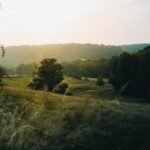 Sursa foto: unsplash