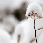 Sursa foto: unsplash