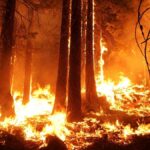 incendiu puternic