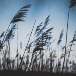 Sursa foto: unsplash