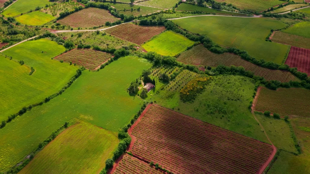 Sursa foto: Unsplash/Gautier Pfeiffer
