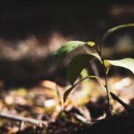 Sursa foto: unsplash