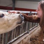 Crescătorii animale