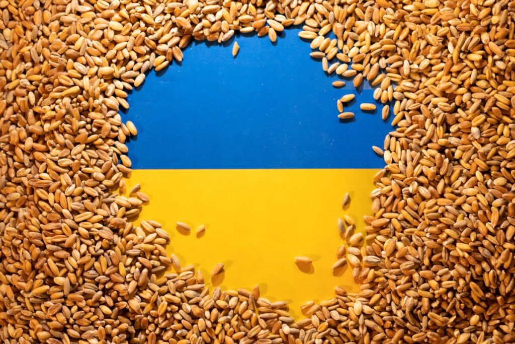 export cereale Ucraina