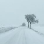 zăpadă ninsoare iarnă
