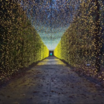 Garden of Lights - Gradina Botanica Bucuresti