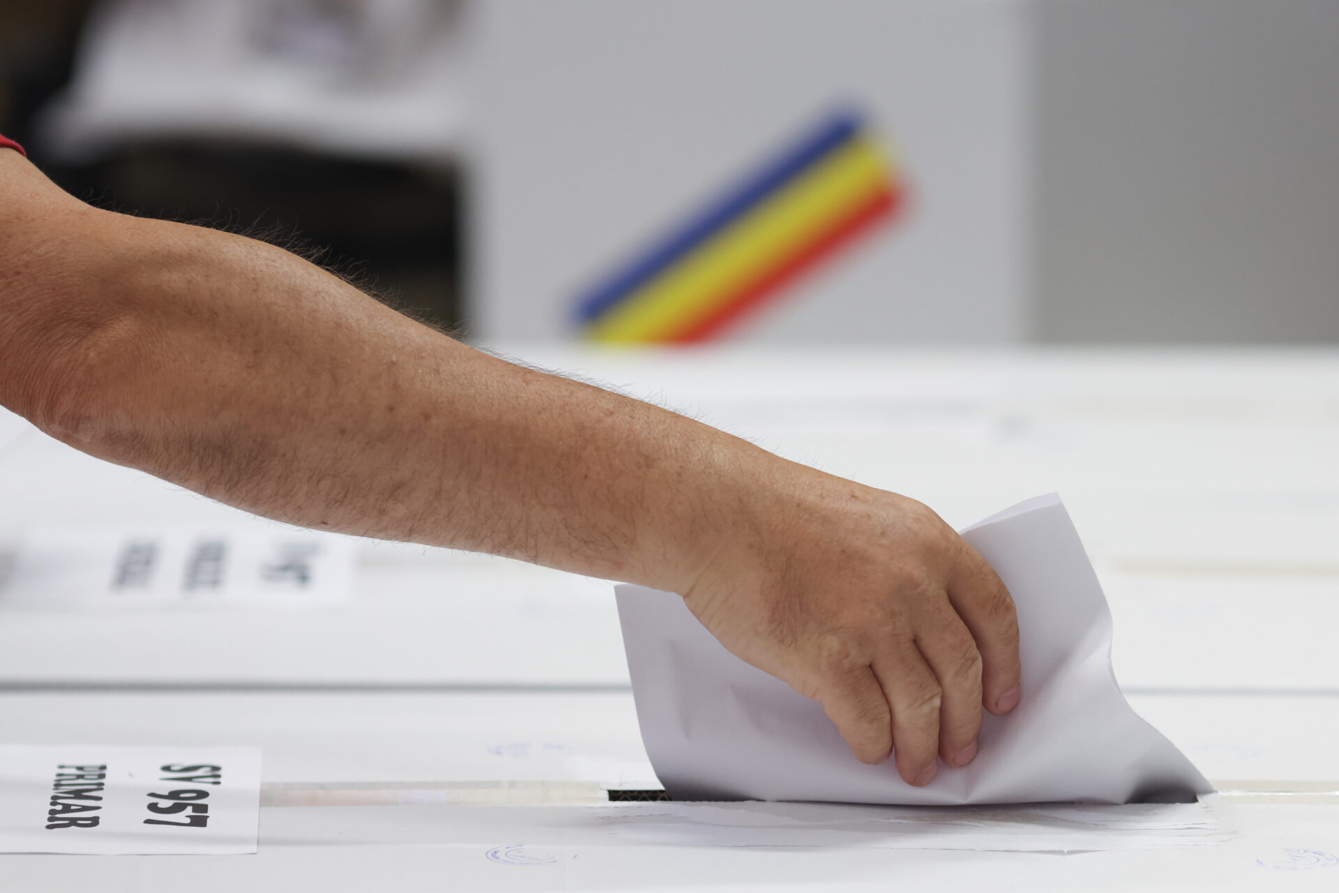 Alegeri 2024 – Cum afli la ce secție de votare poți vota