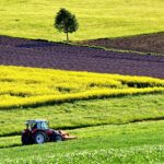 Agricultura