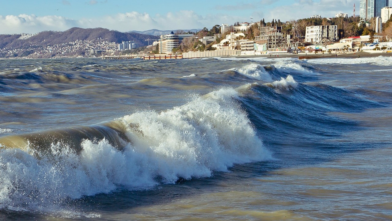 Dezastru ecologic în Marea Neagră. Victor Negrescu, vicepreședintele PE, a cerut Comisiei Europene să ia măsuri